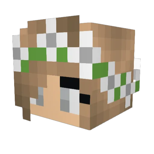 TwinDuo247 Minecraft avatar head, 3D render