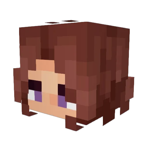 Twin_Boba Minecraft avatar head, 3D render