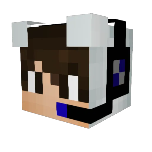 TwincamAE86 Minecraft avatar head, 3D render