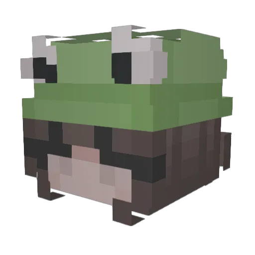 Twinfrog101 Minecraft avatar head, 3D render