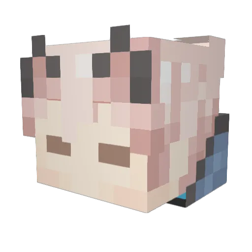 TwinkW Minecraft avatar head, 3D render