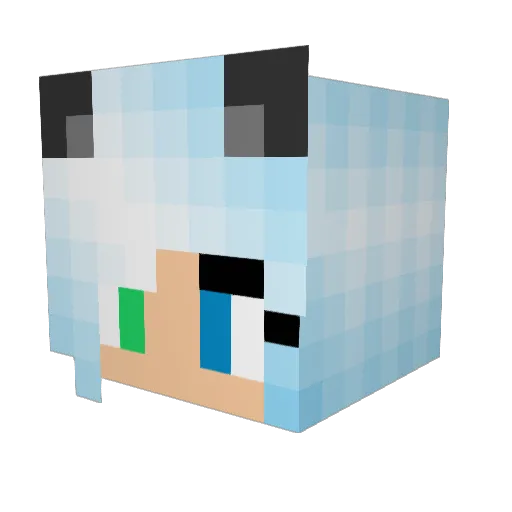 Twinkle3000 Minecraft avatar head, 3D render