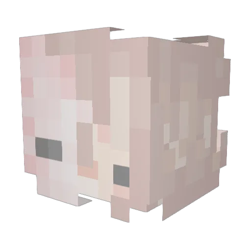 TwinkleKarp Minecraft avatar head, 3D render