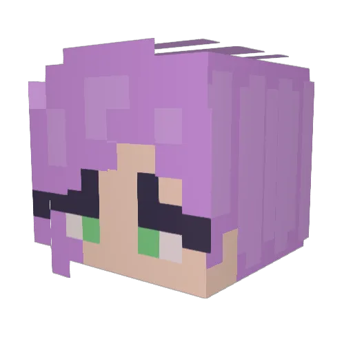 TwinkleLittleSky Minecraft avatar head, 3D render