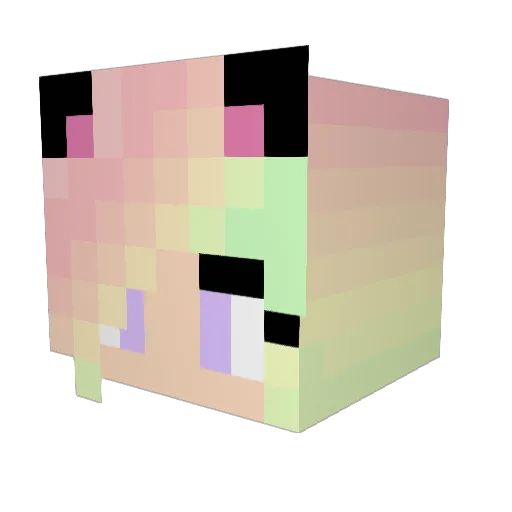 TwinkleToes1354 Minecraft avatar head, 3D render