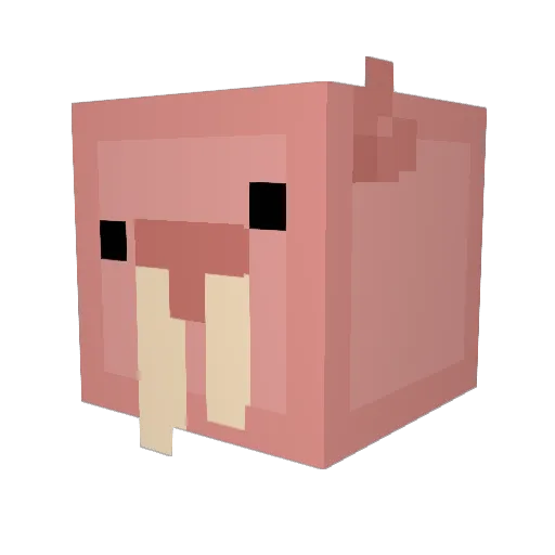 TwinkleToes47 Minecraft avatar head, 3D render