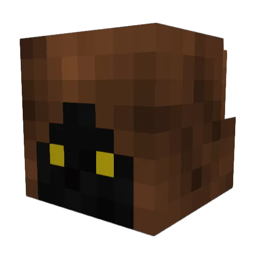 TwinkleToes66 Minecraft avatar head, 3D render