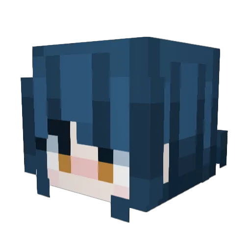 TwinkleToesJr Minecraft avatar head, 3D render