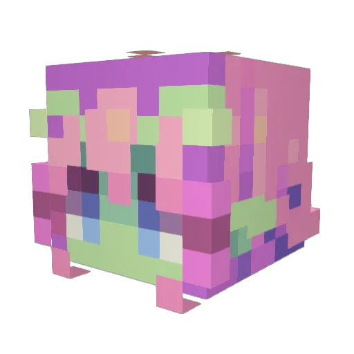 TwinkleToesSis Minecraft avatar head, 3D render