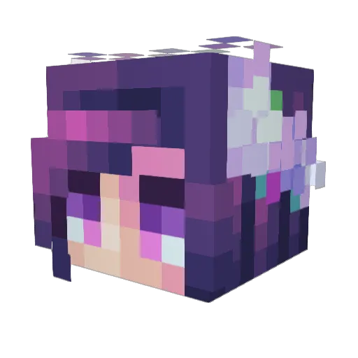 Twinklestar221 Minecraft avatar head, 3D render