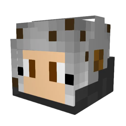 Twinky54 Minecraft avatar head, 3D render