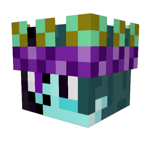 TwinnDragonns Minecraft avatar head, 3D render