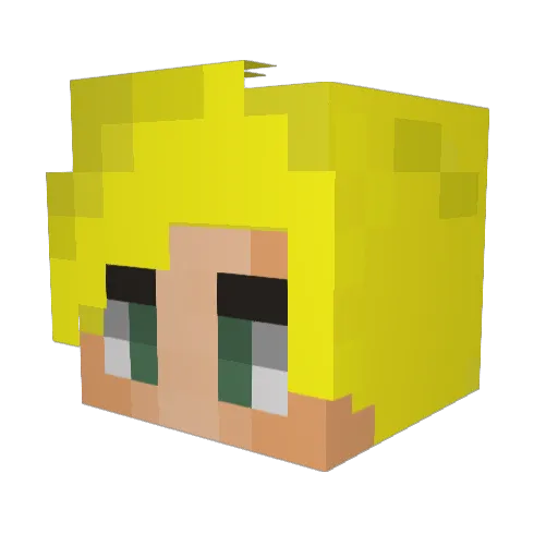 Twins0723 Minecraft avatar head, 3D render