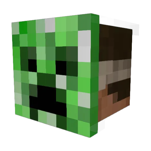 Twins_NL Minecraft avatar head, 3D render