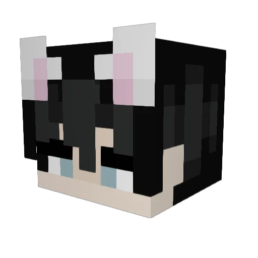 Twinx01 Minecraft avatar head, 3D render