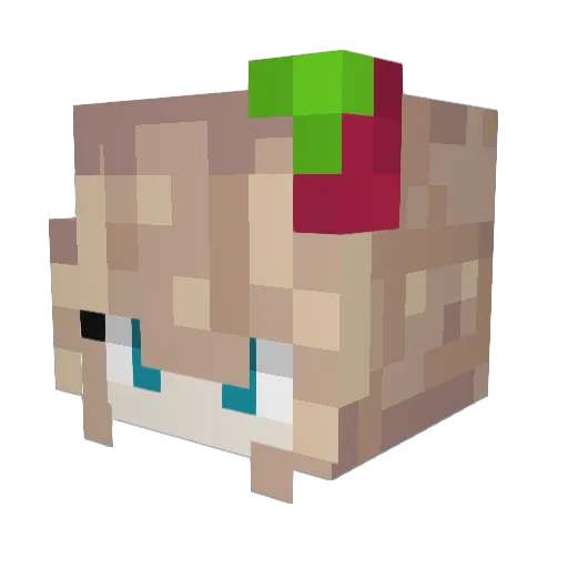 Twinxzz Minecraft avatar head, 3D render