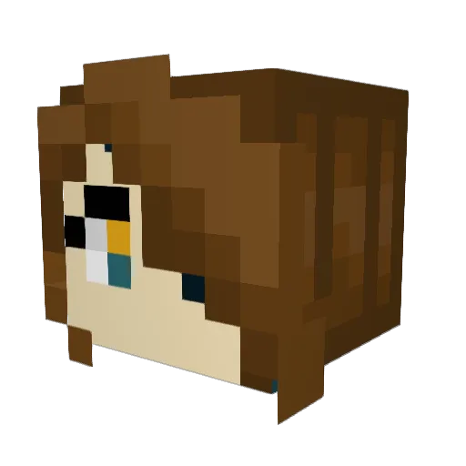 Twior Minecraft avatar head, 3D render