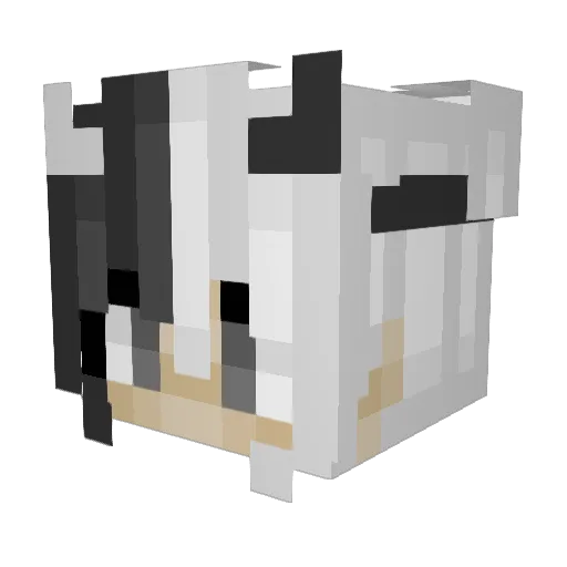 TwisTiik_ Minecraft avatar head, 3D render