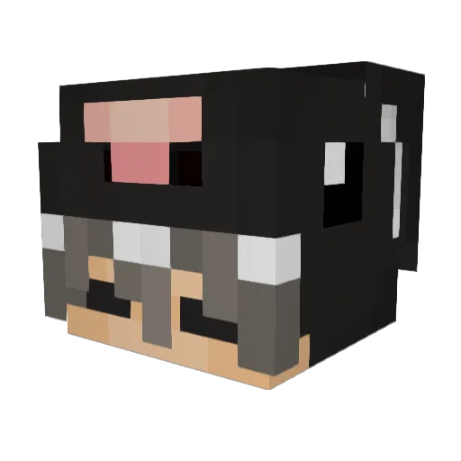 Twisdy Minecraft avatar head, 3D render