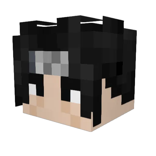 Twisted63 Minecraft avatar head, 3D render