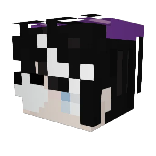 TwistedVirus1212 Minecraft avatar head, 3D render