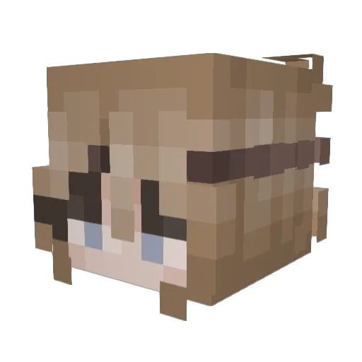 Twisted_Vision_ Minecraft avatar head, 3D render