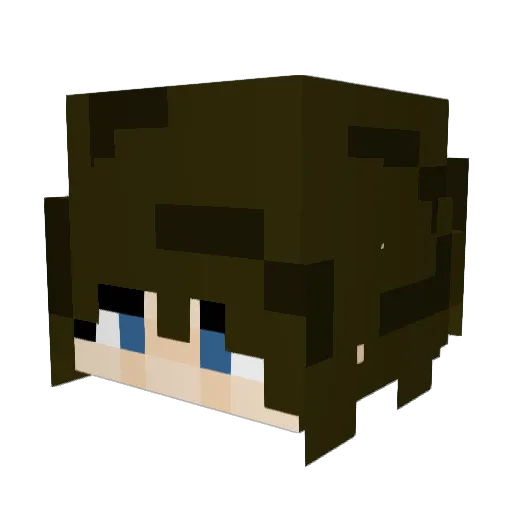 Twisted_Wolf231 Minecraft avatar head, 3D render