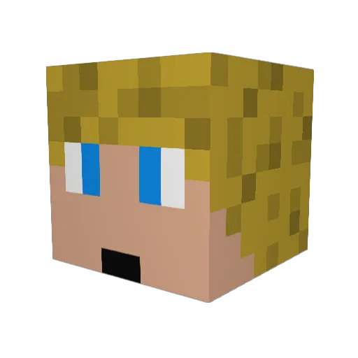 Twister768 Minecraft avatar head, 3D render