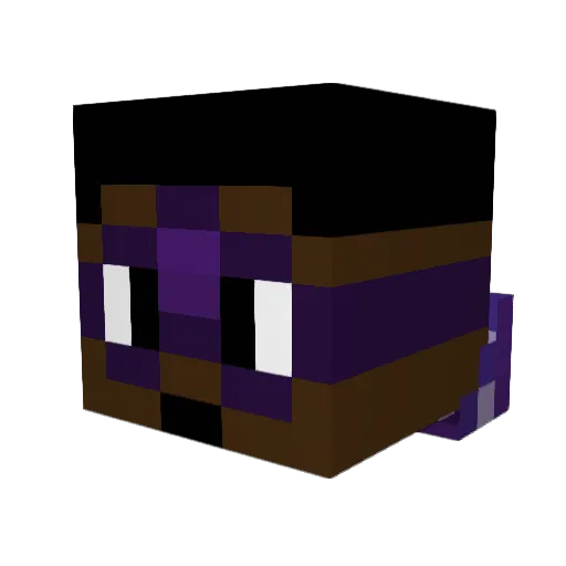 TwisterGalaxy Minecraft avatar head, 3D render