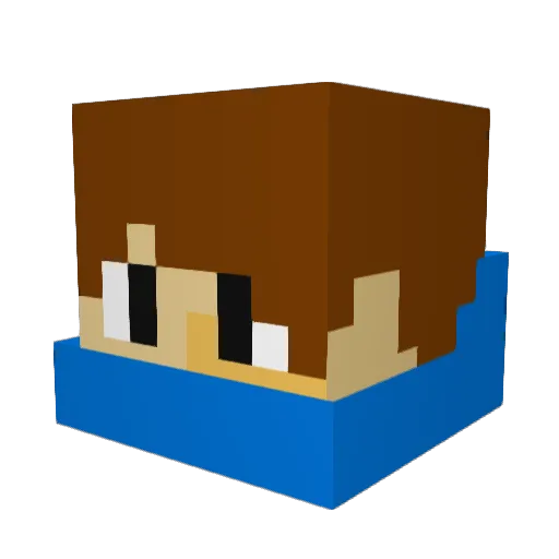 Twisterrr_ Minecraft avatar head, 3D render