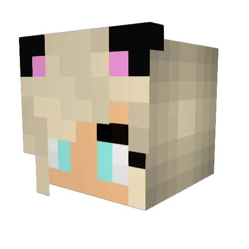TwistyKate Minecraft avatar head, 3D render