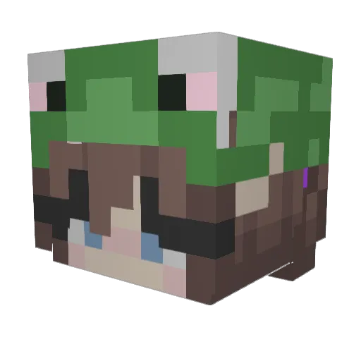 TwistyMaple Minecraft avatar head, 3D render