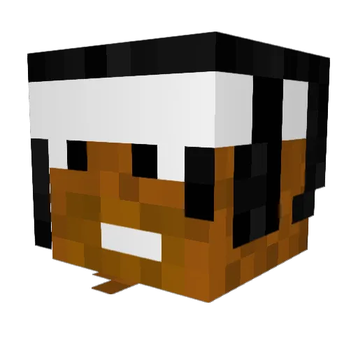 TwitchNoah_ Minecraft avatar head, 3D render