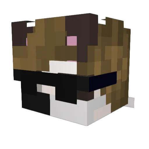Twitch_The_Fox Minecraft avatar head, 3D render