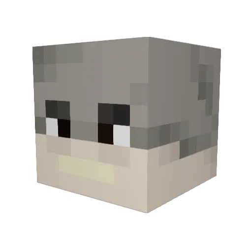Twitwi500 Minecraft avatar head, 3D render