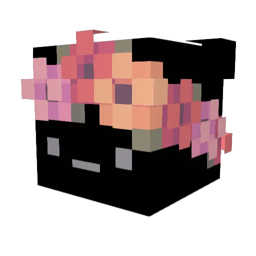 TwixDotZip Minecraft avatar head, 3D render
