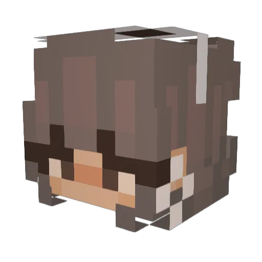 Twix_Nix Minecraft avatar head, 3D render