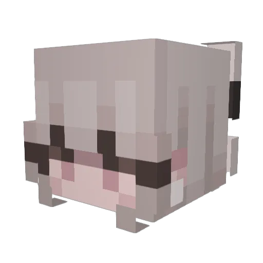 Twixev Minecraft avatar head, 3D render