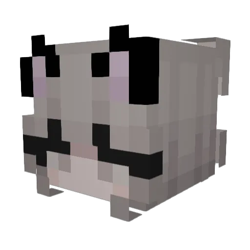 Twixthecat14 Minecraft avatar head, 3D render