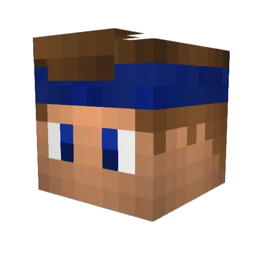Twize Minecraft avatar head, 3D render