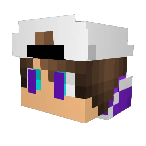 Twiztyy Minecraft avatar head, 3D render