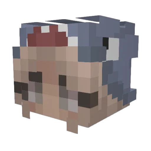 TwizzleMac Minecraft avatar head, 3D render
