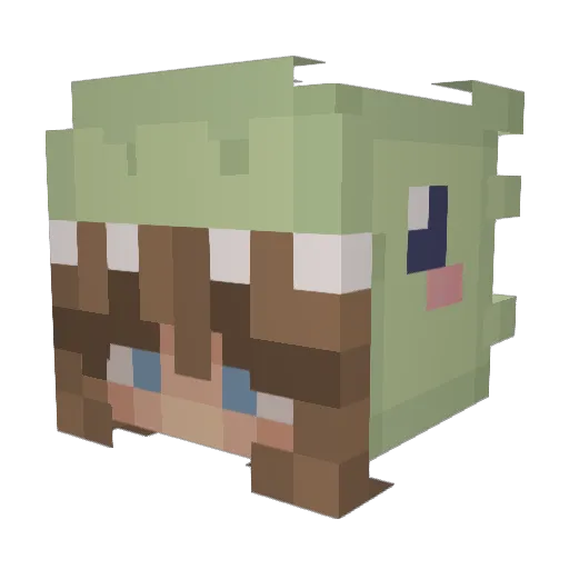 TwizzlerPantz21 Minecraft avatar head, 3D render