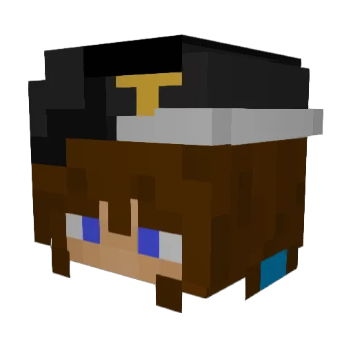 Twlgg Minecraft avatar head, 3D render