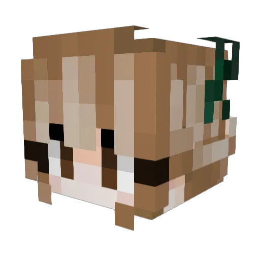 Twlli Minecraft avatar head, 3D render