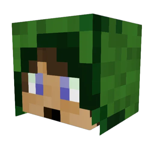 TwmWright Minecraft avatar head, 3D render
