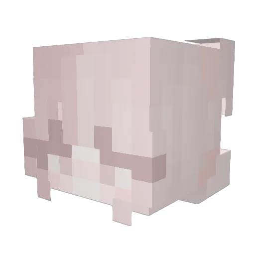 Two2bears Minecraft avatar head, 3D render
