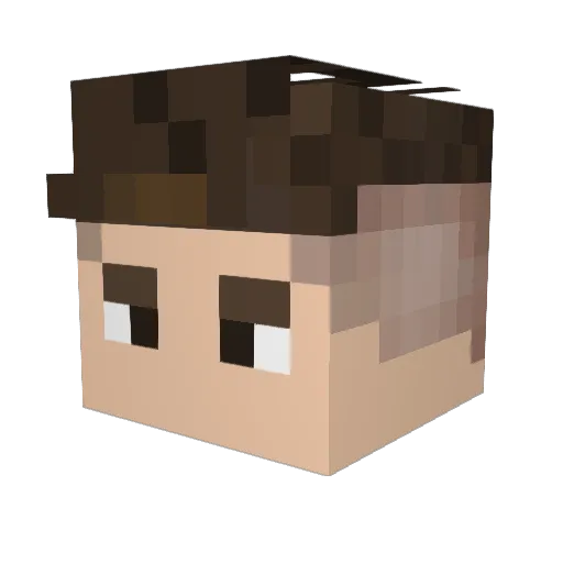 TwoBarbecue3846 Minecraft avatar head, 3D render