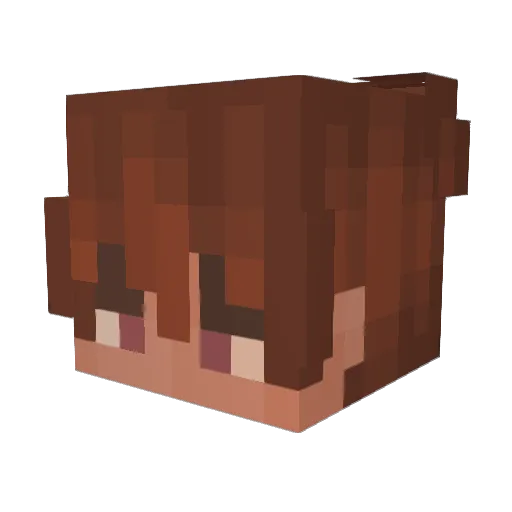 TwoBeersCook14 Minecraft avatar head, 3D render