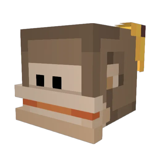 TwoCoolDudes Minecraft avatar head, 3D render